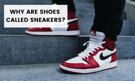 why are sneakers called trainers